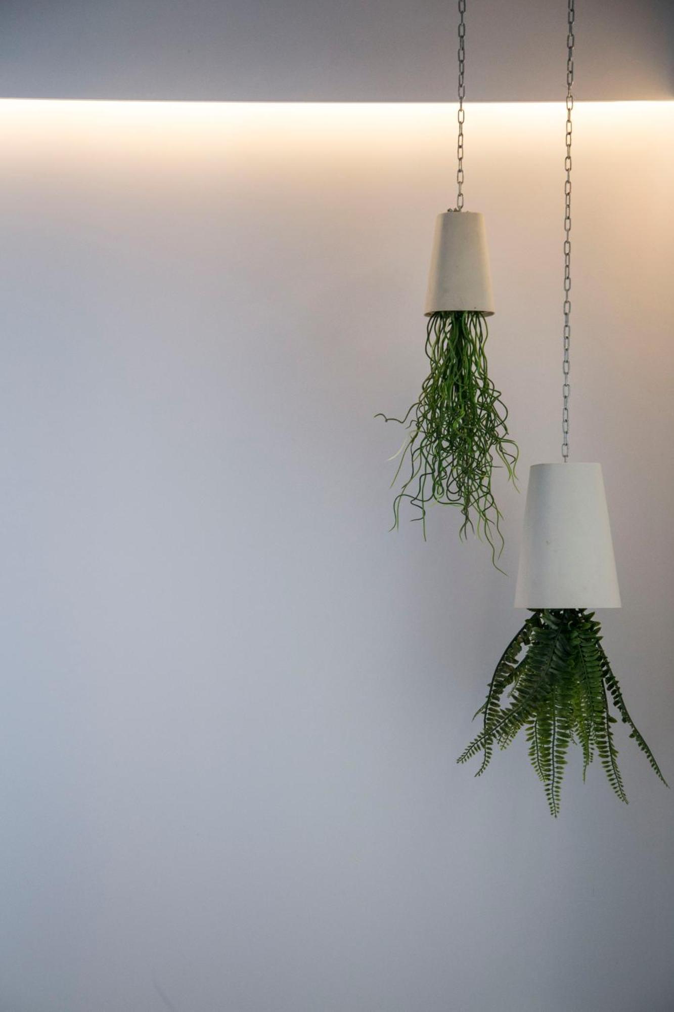 Industrial Loft & Private Courtyard Acacias